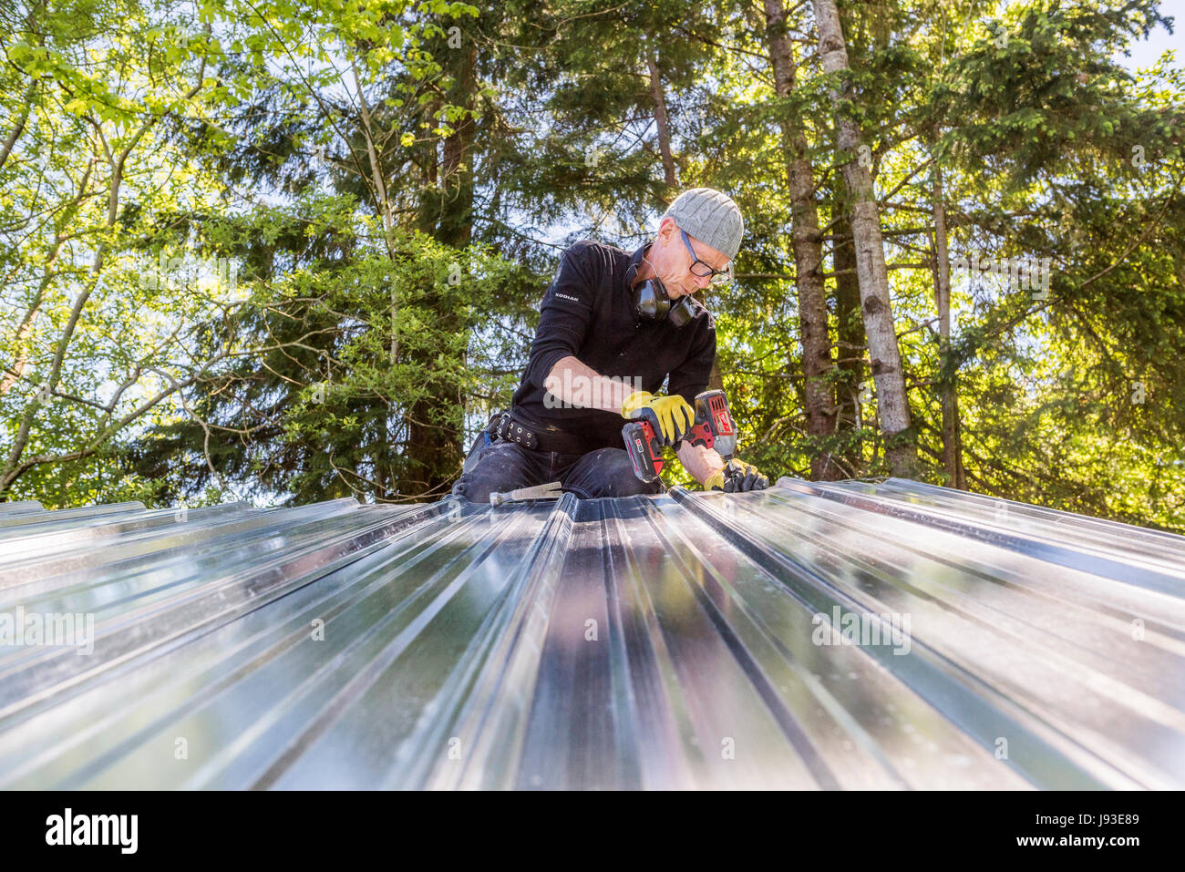 Uomo al lavoro installazione tetto metallico su capannone. Foto Stock