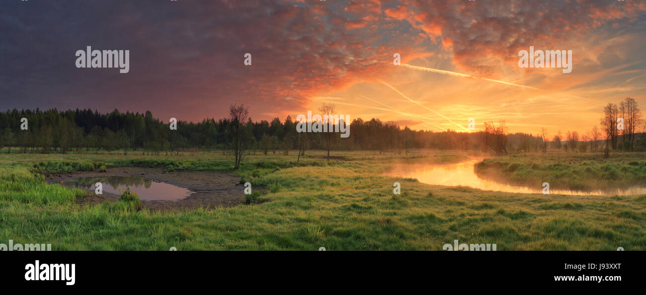 Paesaggio panoramico di mattina d'estate. Colorato luminoso cielo sopra valle verde. Calda mattina d'estate. Foto Stock