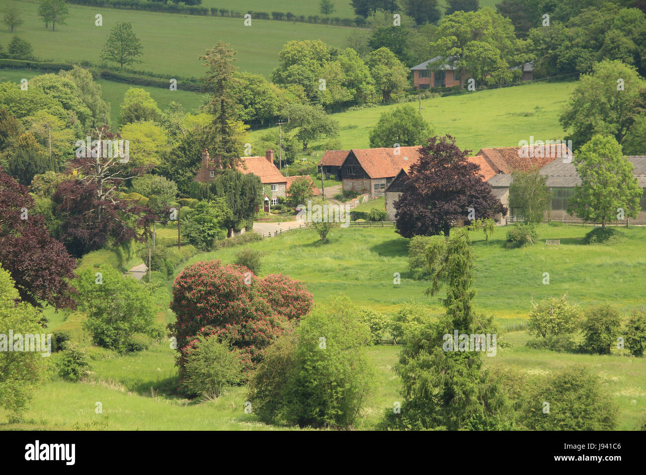 Un inglese un paesaggio rurale nella valle Hambleden nella Chiltern Hills Foto Stock