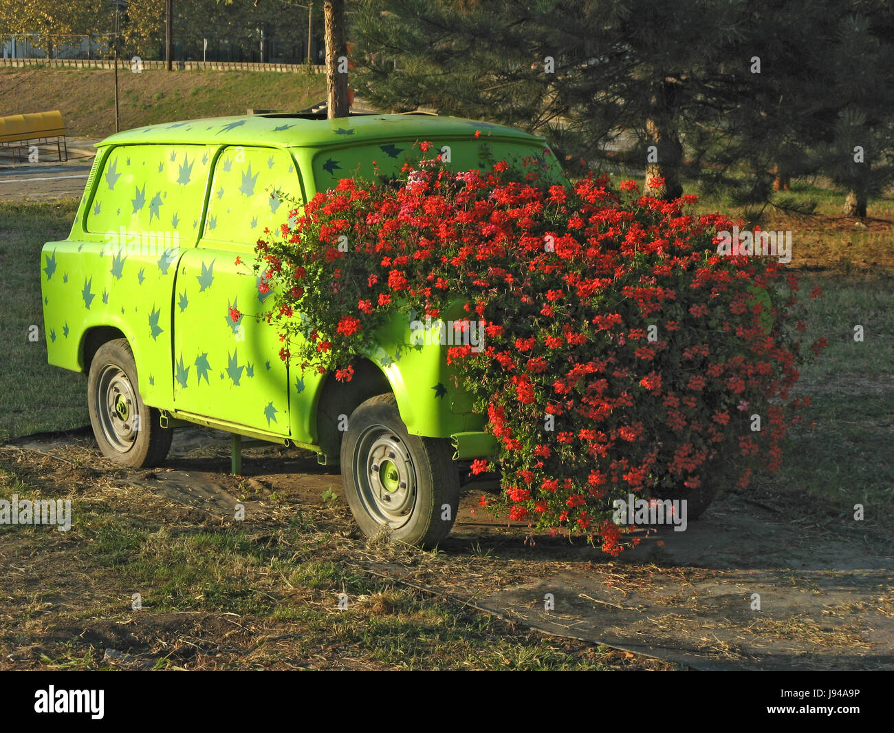 Boccola di fiori rossi crescente da verde auto del motore Foto Stock
