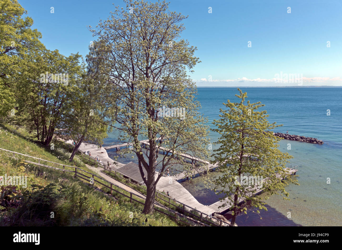 La popolare spiaggia Bjerre, Bjerre Strand, presso la vecchia strada costiera in Humlebaek, Humlebaek, North Sealand, Danimarca Foto Stock