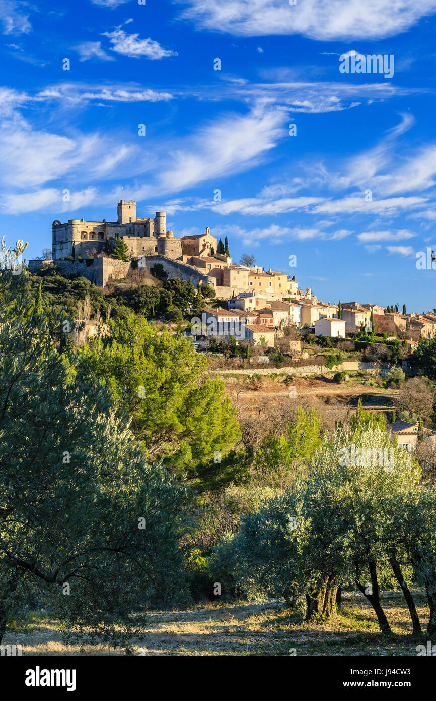 Francia, Vaucluse, le Barroux, il villaggio sormontato con il castello visto da un oliveto Foto Stock