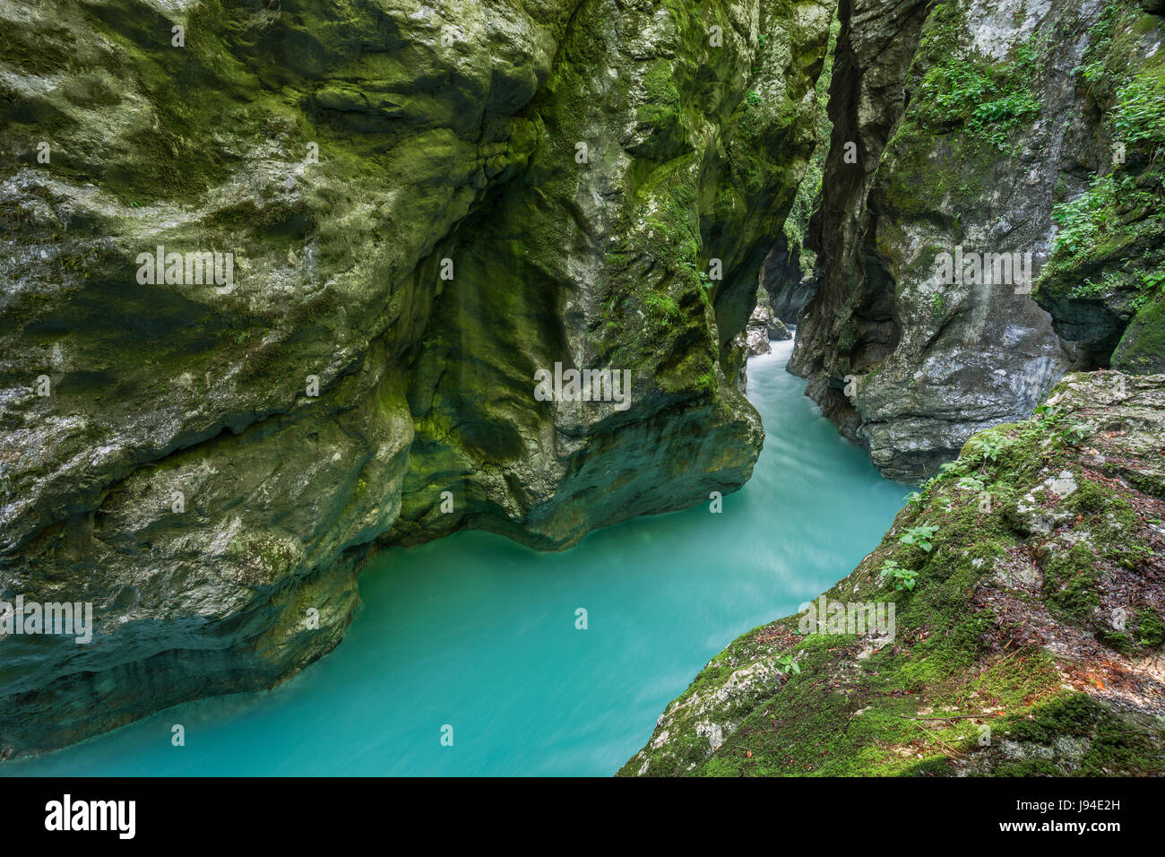 Tolmin gorge nel Parco Nazionale del Triglav, Slovenia Foto Stock
