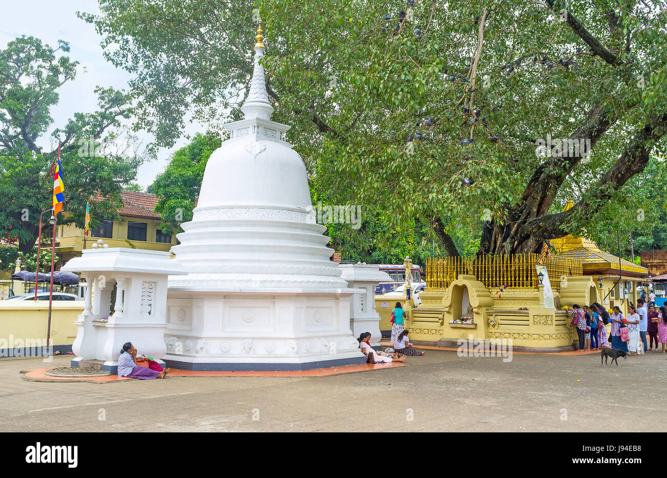 PERADENIYA, SRI LANKA - Novembre 28, 2016: La Sacra Bodhi Tree e dagoba sono i principali santuari del tempio Gatambe, 28 novembre. Foto Stock