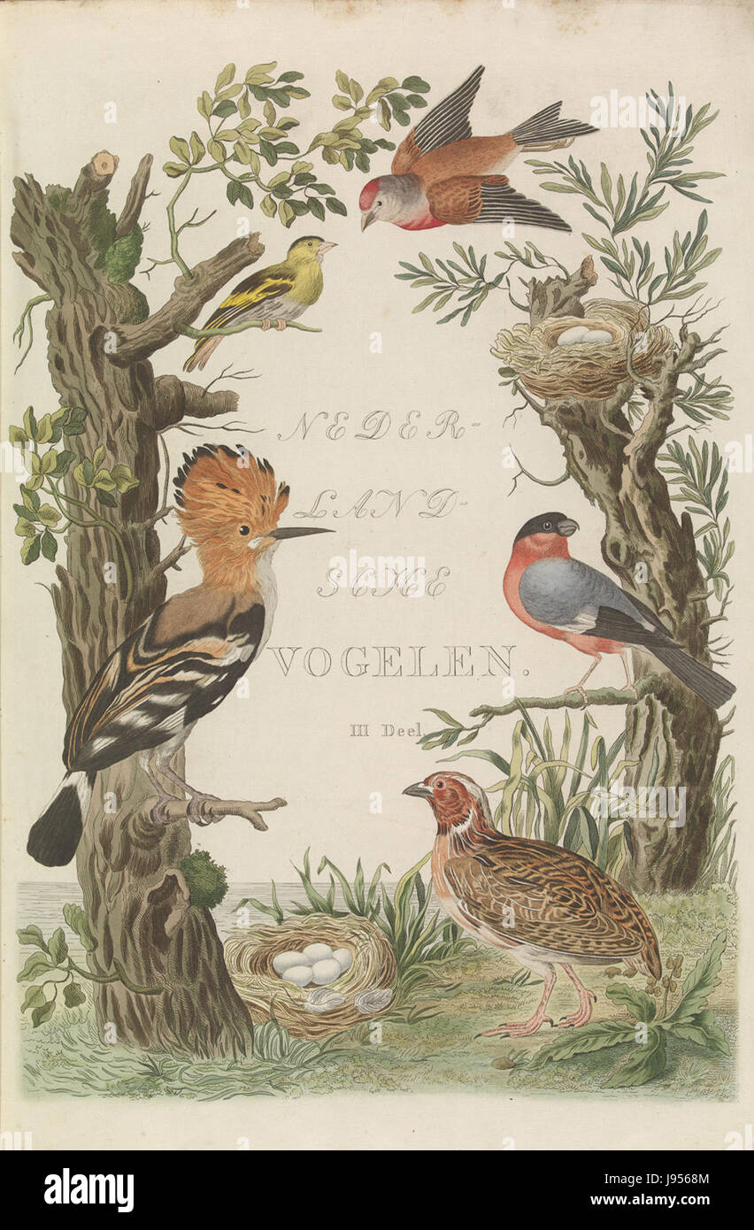 La "Nederlandsche Vogelen" è una collezione di libri ornitologici, e questa copertina rappresenta il volume 3, che mostra la ricca diversità aviaria dei Paesi Bassi. Foto Stock