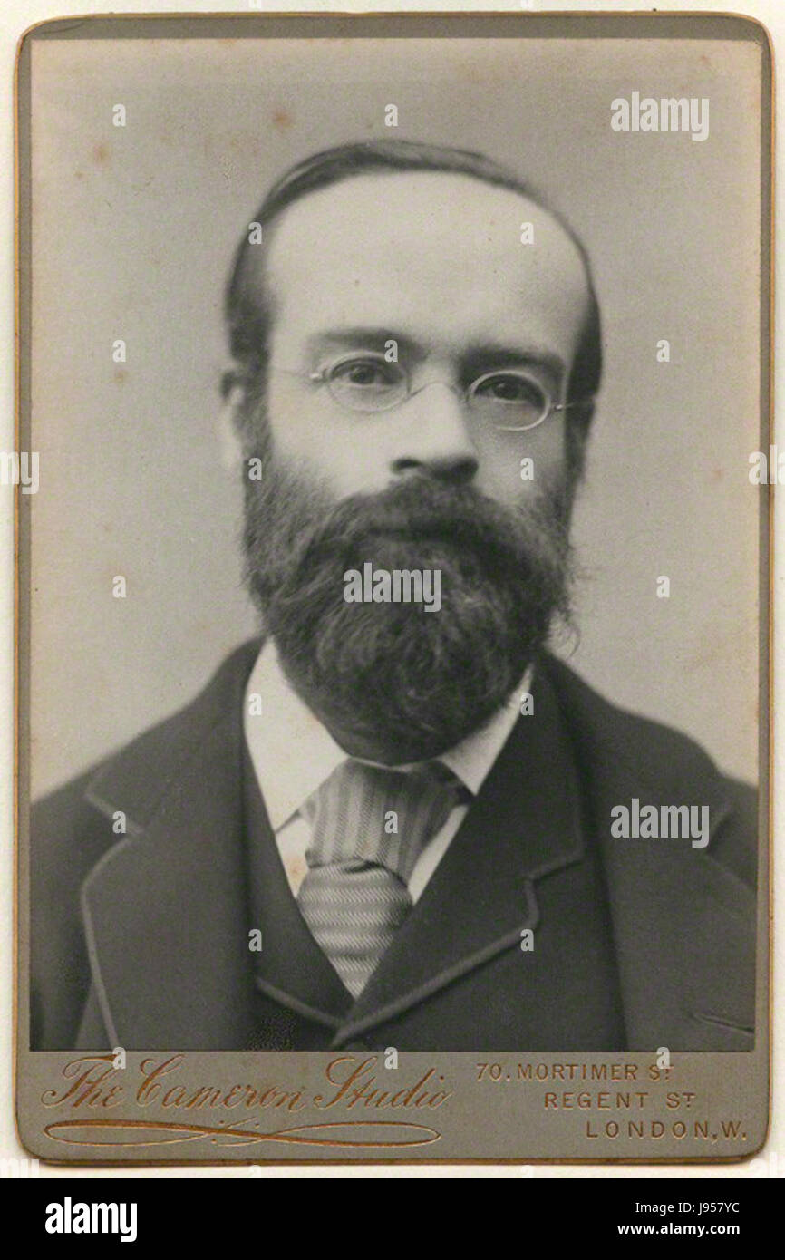 Walter Leaf, una figura influente nello studio della storia antica, è ritratto in una fotografia di Henry Herschel Hay Cameron. L'immagine riflette l'eredità intellettuale dei contributi di Leafâ agli studi classici. Foto Stock