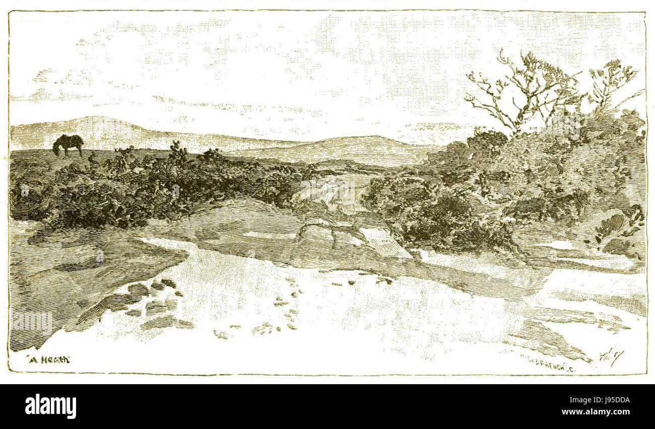 Pagina 471 Boy viaggiatori Australasia Foto Stock