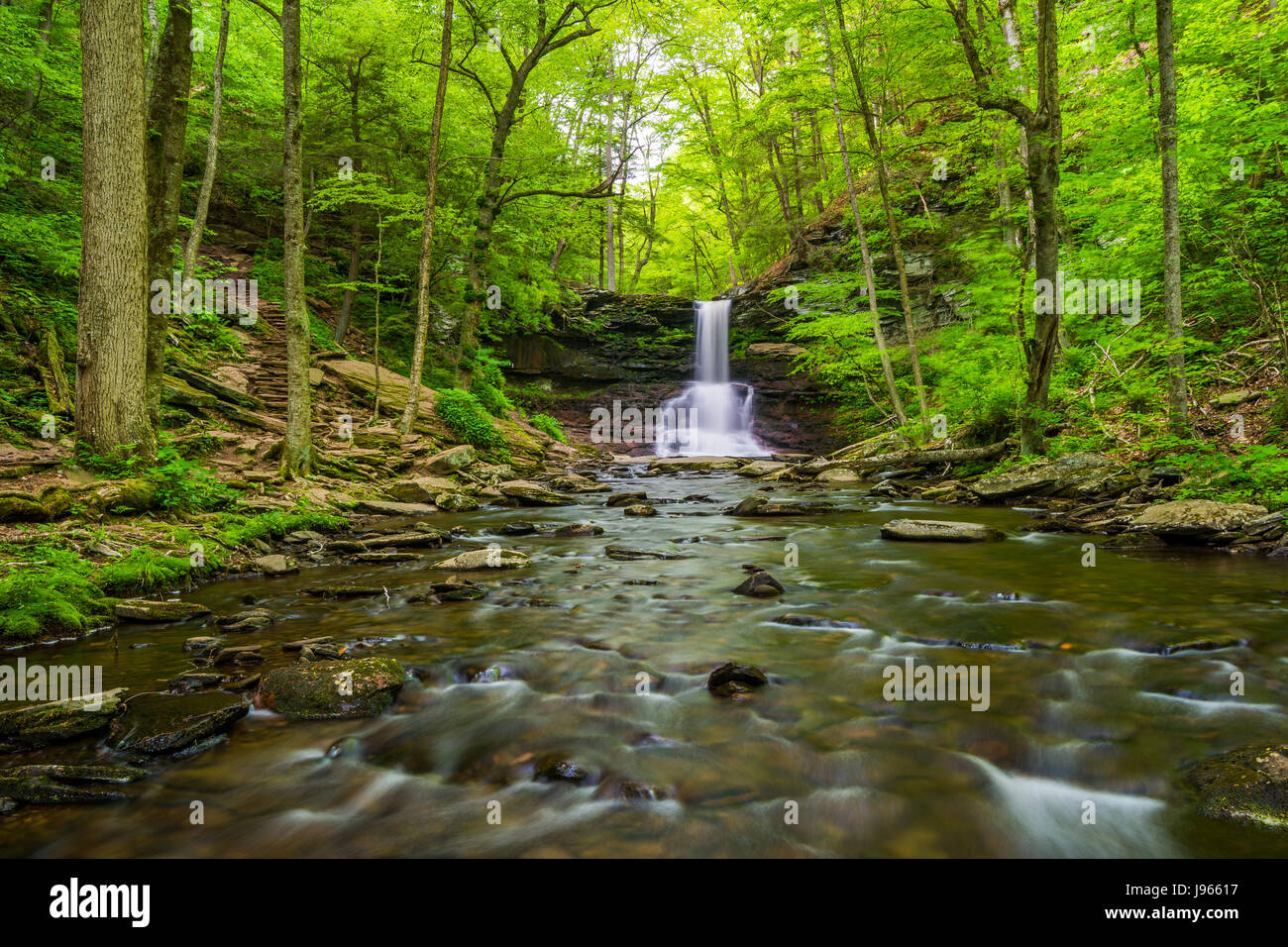 Sheldon Reynolds cade in Ricketts Glen State Park, Pennsylvania. Foto Stock