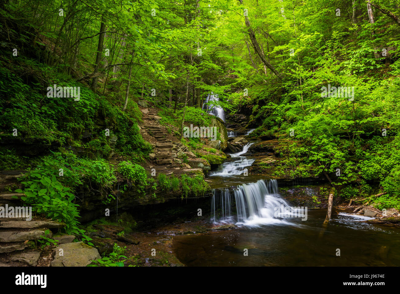 La cascata e il sentiero del Ricketts Glen State Park, Pennsylvania. Foto Stock