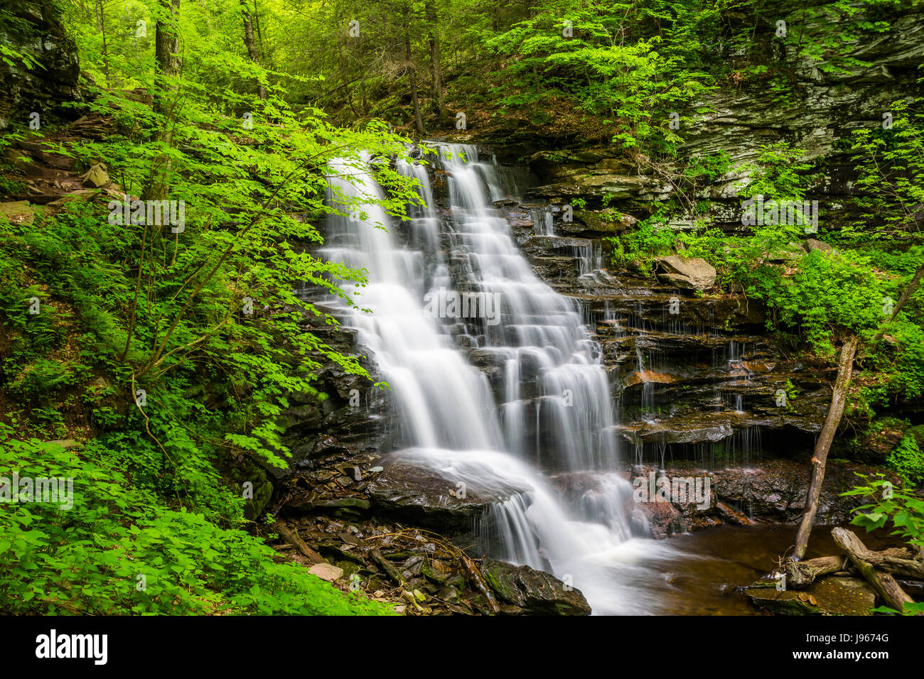 Cascata del Ricketts Glen State Park, Pennsylvania. Foto Stock