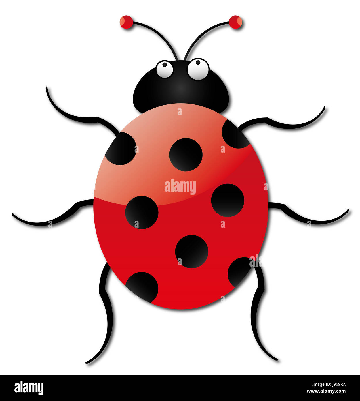 Beetle, successo Lucky, fortuna, possibilità, Ladybug, fortune, colore, di insetto, occhio, Foto Stock