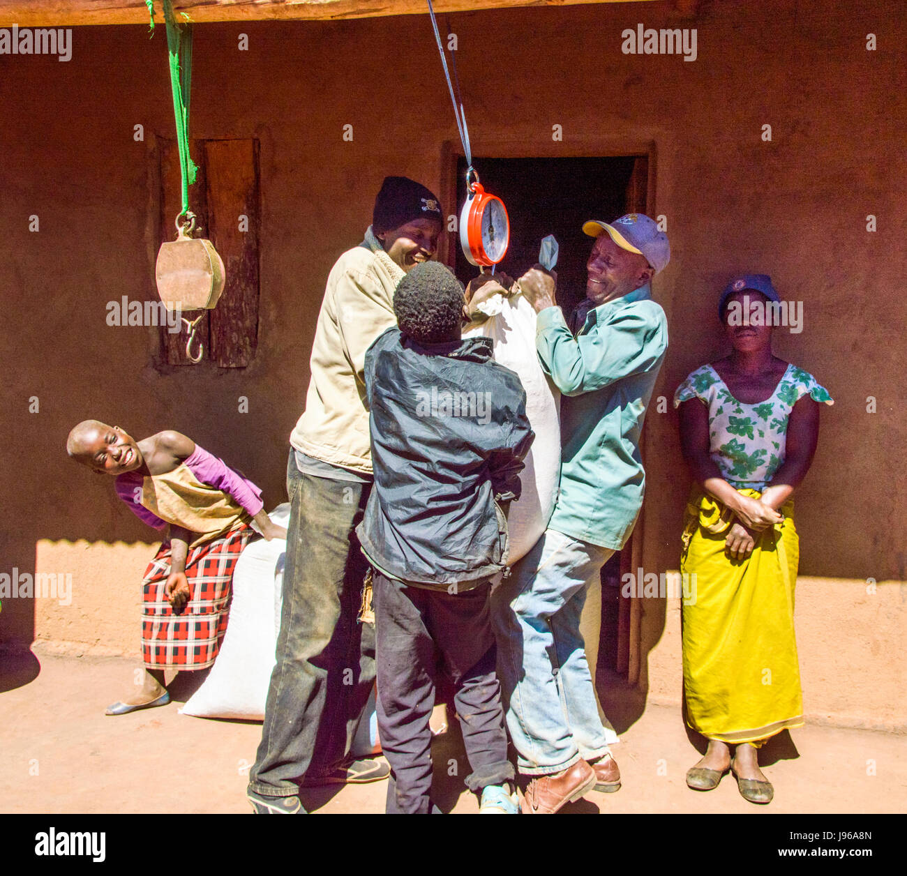Gli uomini stuggling per sollevare un sacco di granturco salire sulla bilancia pendente dal fascio di casa malawiana guardato da donna casa proprietario vende mais per i commercianti Foto Stock