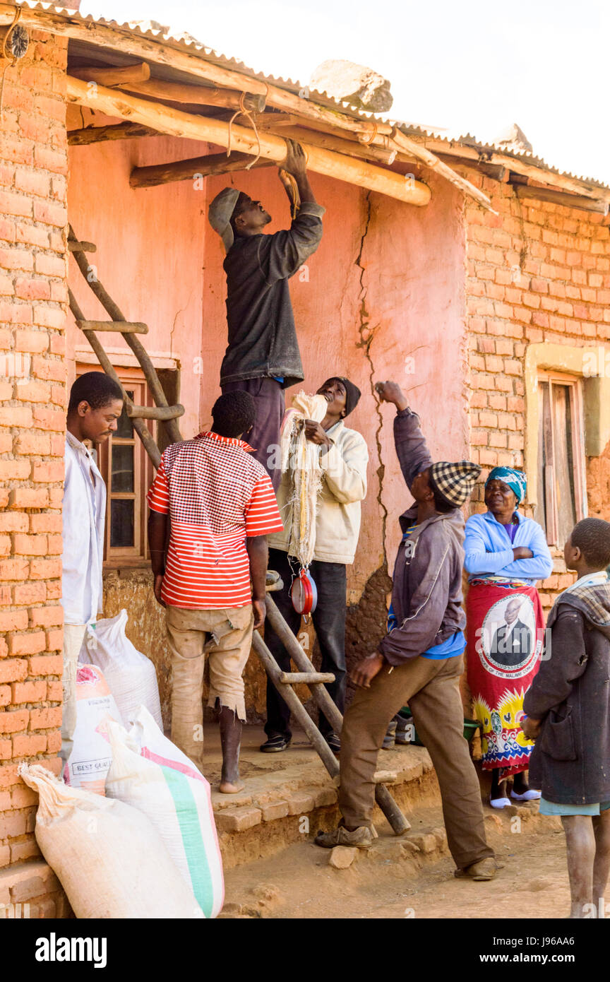 Gli uomini utilizzano fatta in casa scala per appendere la bilancia per pesare sacchi di mais per la vendita ad un commerciante nel villaggio rurale di Chiphazi vicino a Dedza il Malawi, Africa Foto Stock