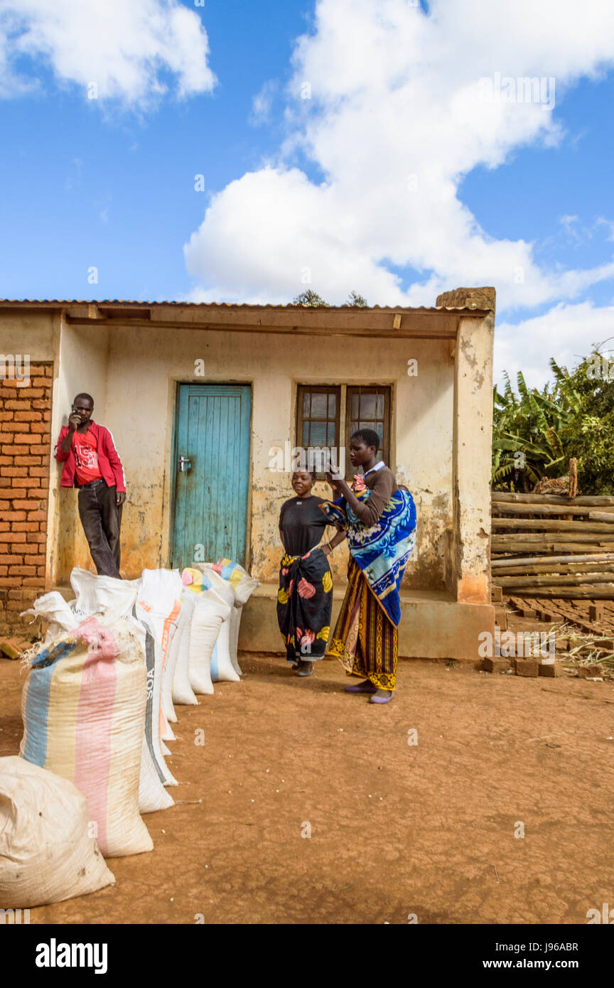 Tre persone vendono sacchi di mais per un commerciante in Chiphazi, nei pressi di Dedza, Malawi, Africa al di fuori del suo negozio tradizionale edificio Foto Stock