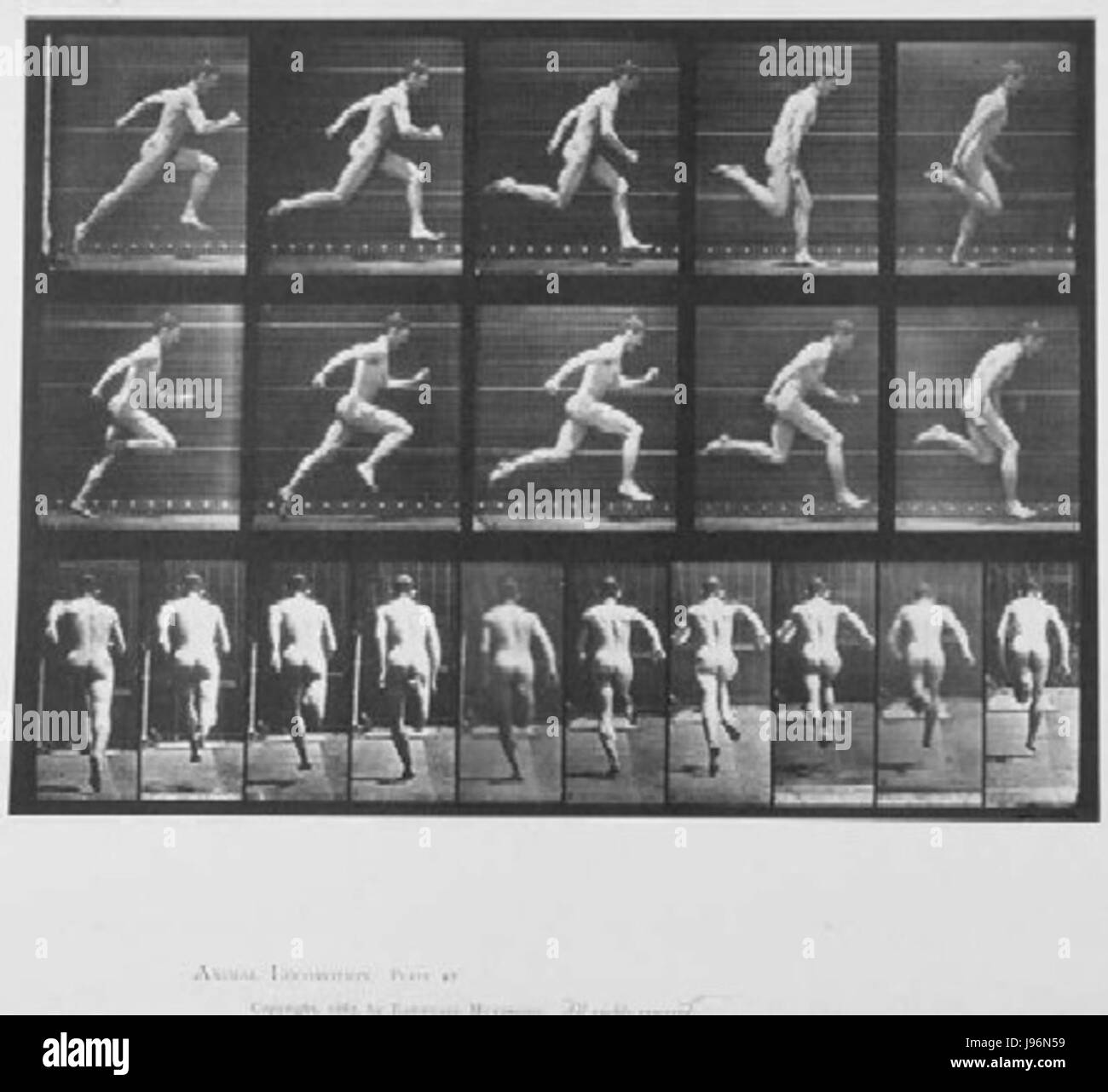 Muybridge runner Foto Stock