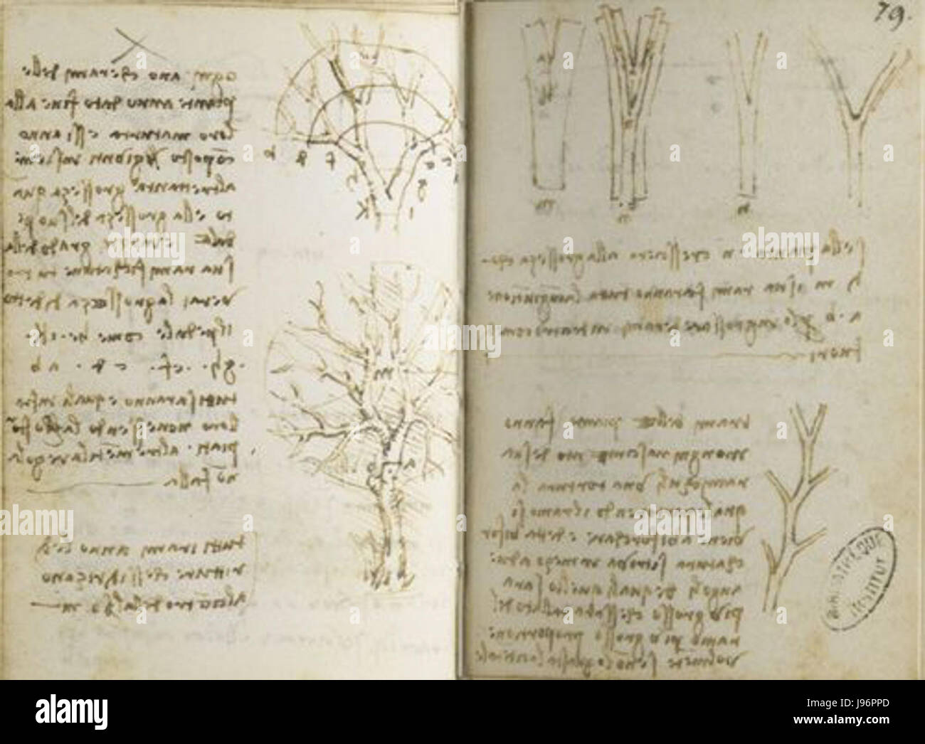 Manoscritto di Parigi M Fol 78v79R Foto Stock