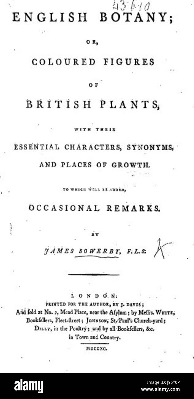 SmithEnglishBotanyTitle Foto Stock