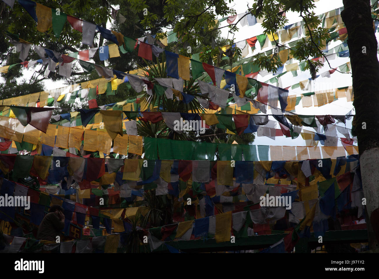 Bandiere di preghiera fodera l ingresso di Mahakal Mandir Chauk Bazaar, Darjeeling, West Bengal India Foto Stock