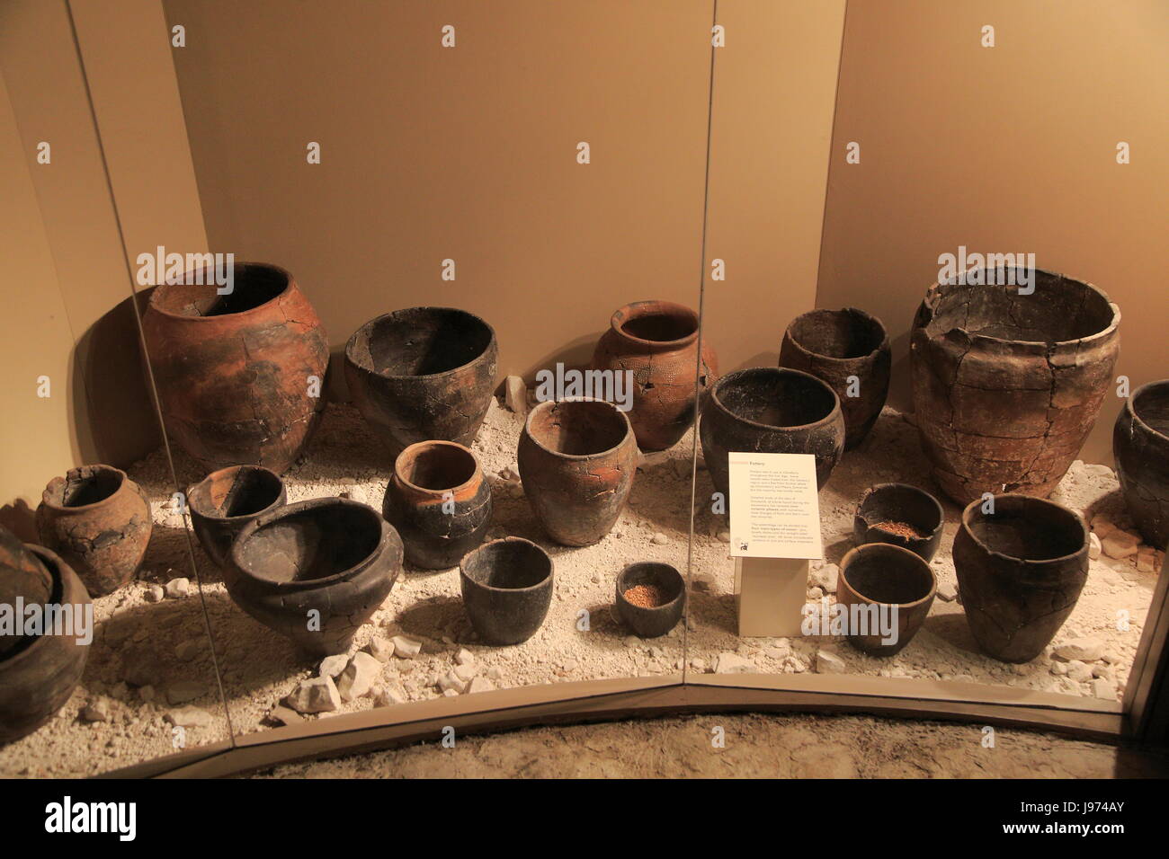 Visualizzazione dei reperti ceramici in età del ferro museo, Andover, Hampshire, Inghilterra, Regno Unito Foto Stock