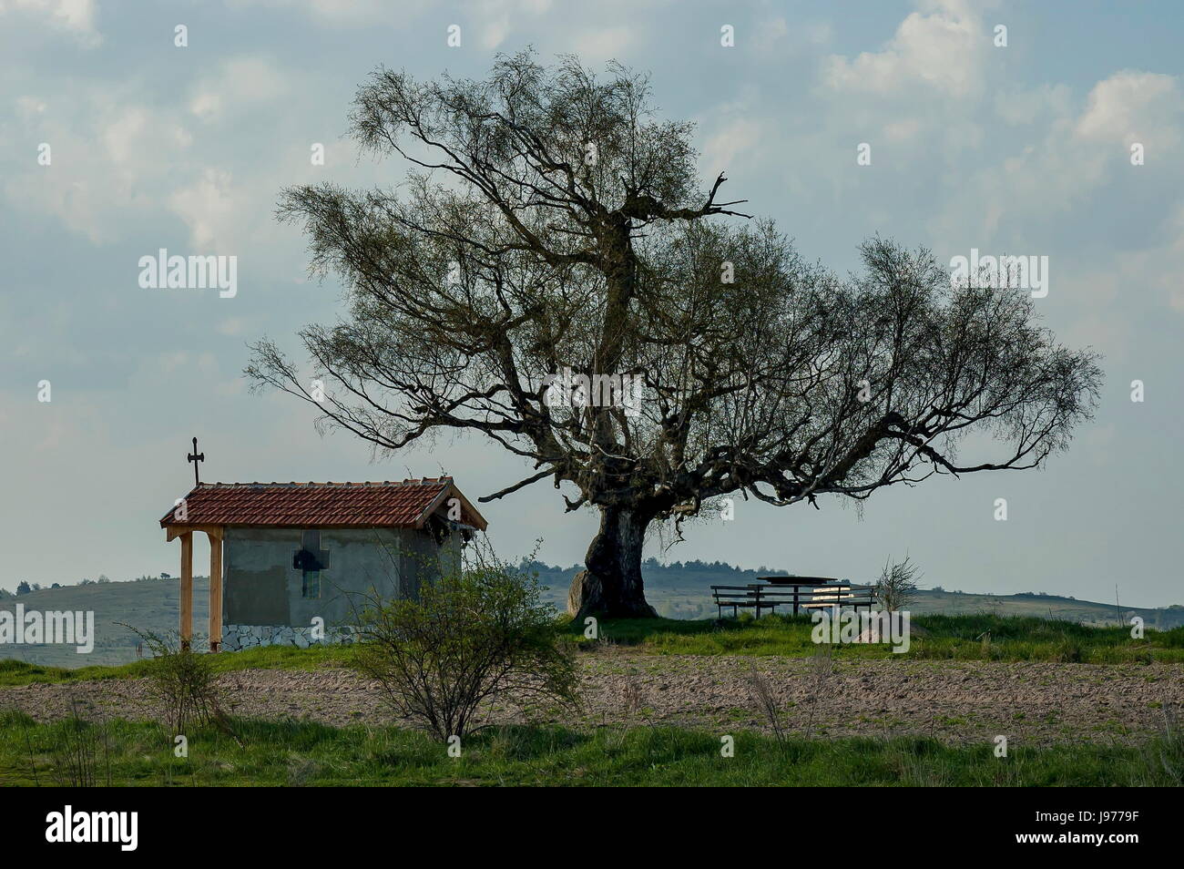 Bellissimo paesaggio con la primavera venerato betulla e vecchia cappella, situato nella montagna plana, Bulgaria Foto Stock