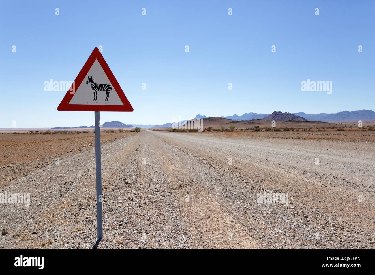 Cartello stradale zebra avanti, Namibia. Foto Stock