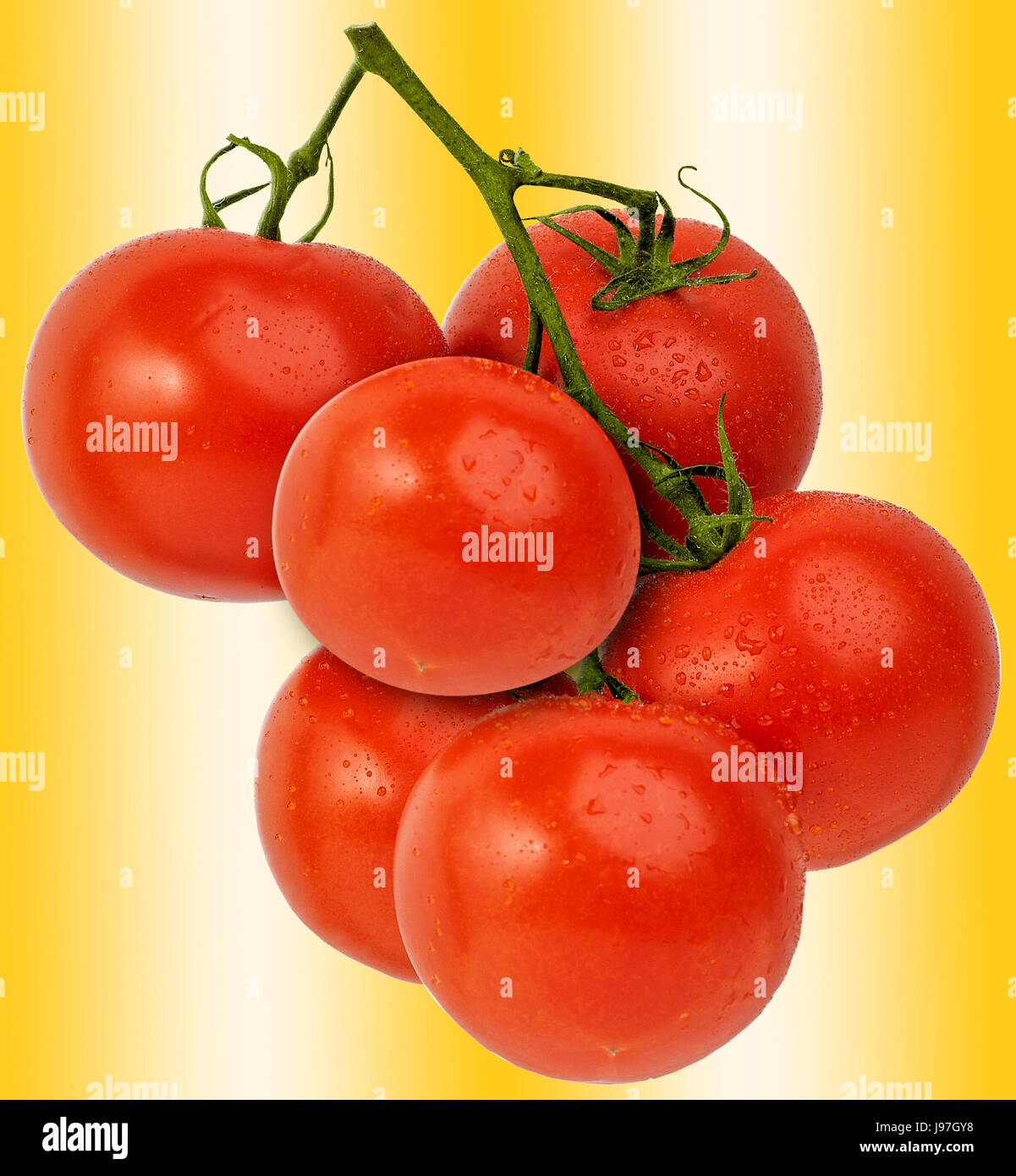 Fresh luminosi rossi pomodori a grappolo, isolata contro un dorato brillante sfondo colorato. Foto Stock