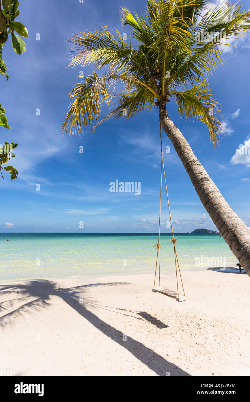 Swing attaccato a un albero di palma nell'idilliaco Bai Sao beach nell'isola di Phu Quoc in Vietnam nel Golfo della Thailandia. Foto Stock