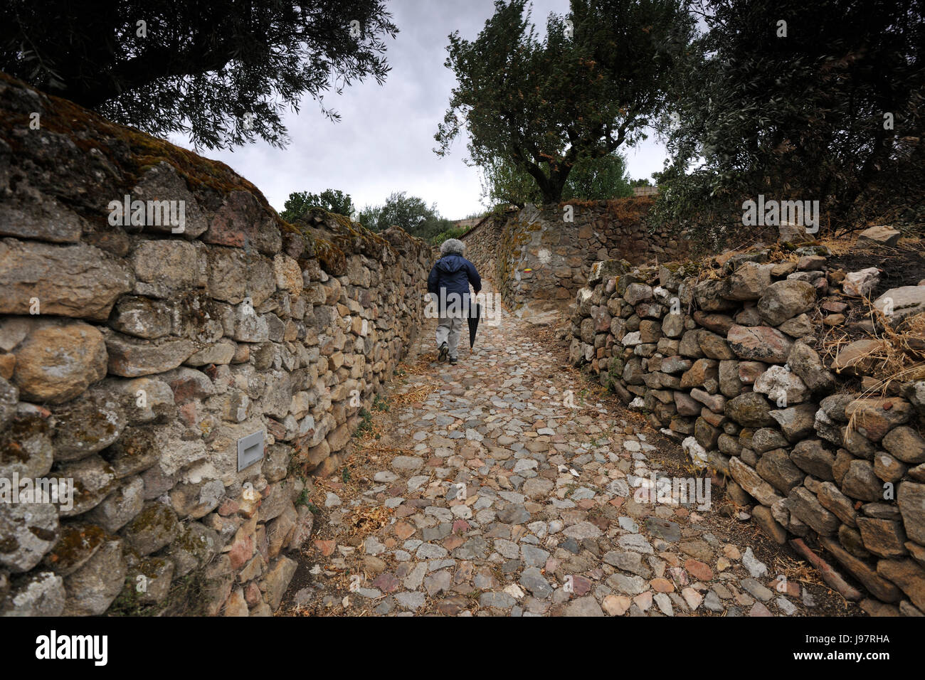 Un medievale strada di ciottoli in Pinhel. Beira Alta, Portogallo Foto Stock