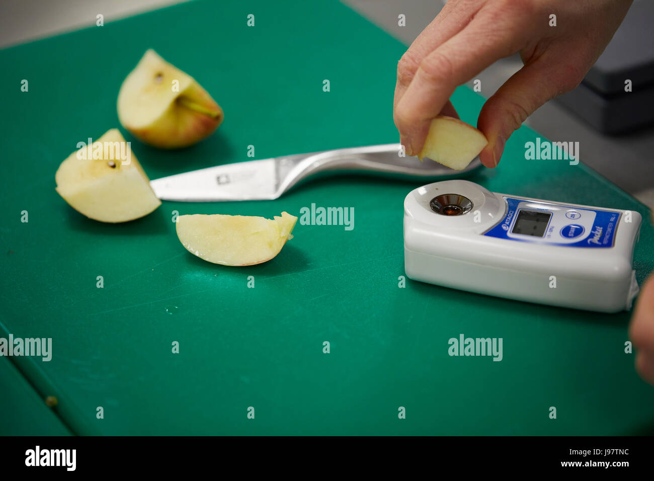 Controllo della qualità della frutta prima nel supermercato controllo qualità test succosa. Foto Stock