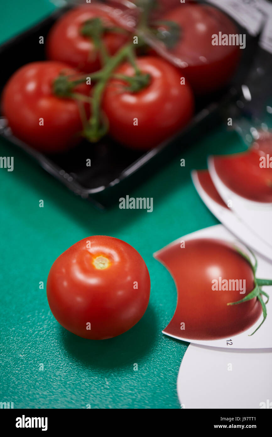 Controllo della qualità della frutta prima in qualità di supermercati Totamo controllo colore rosso campione checker, Foto Stock