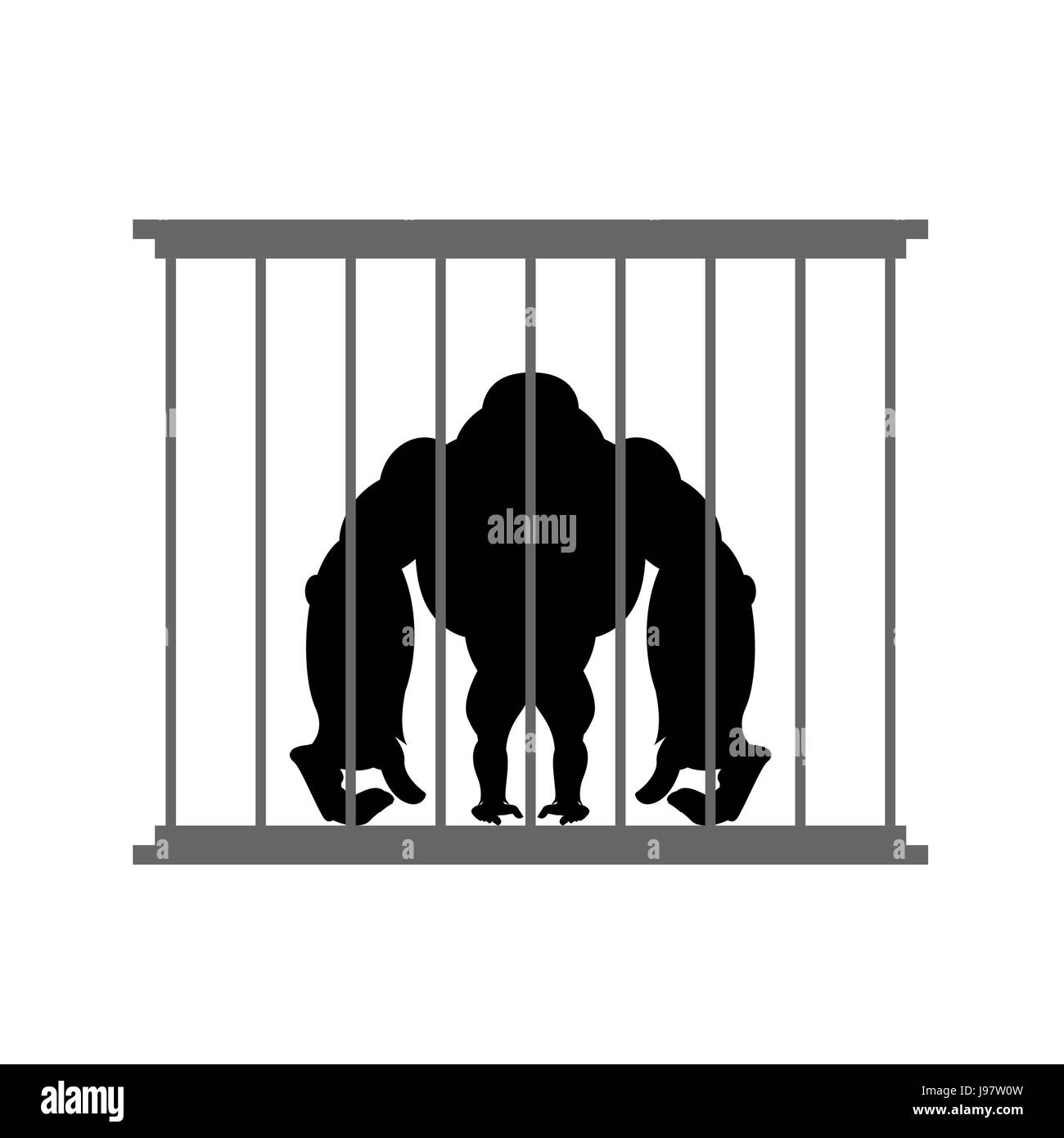 Gorilla in gabbia. Animale in Zoo dietro le sbarre. Grande e forte scimmia in cattività. Pericoloso animale selvatico in cattività. Illustrazione Vettoriale