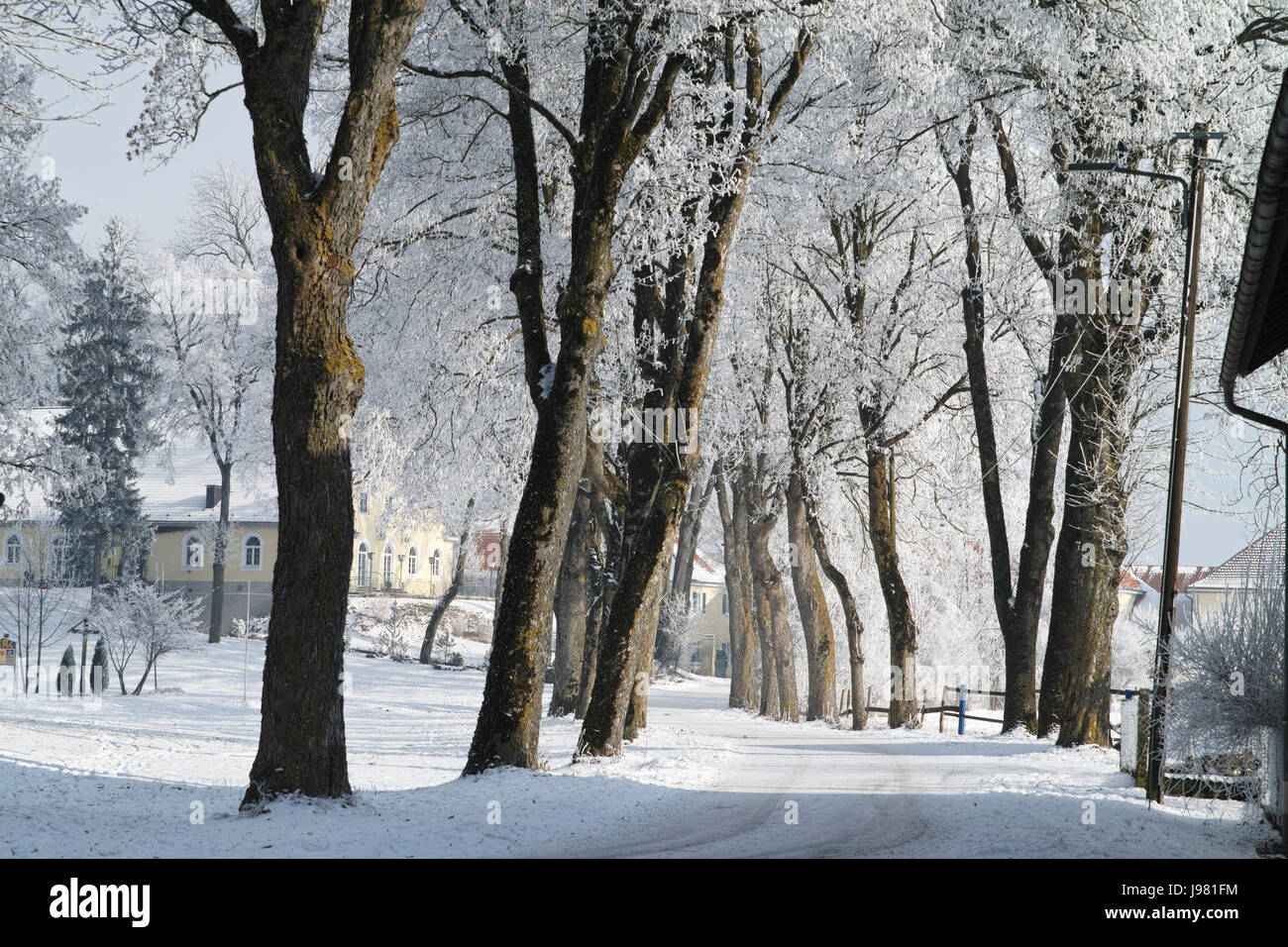 Il pittoresco viale di inverno Foto Stock