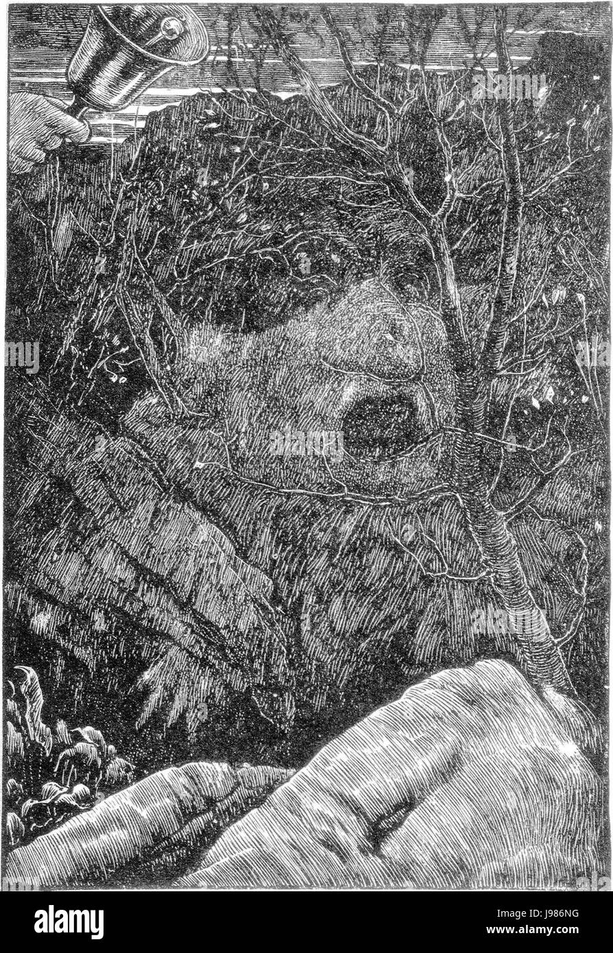 SnarkTheVanishing Foto Stock