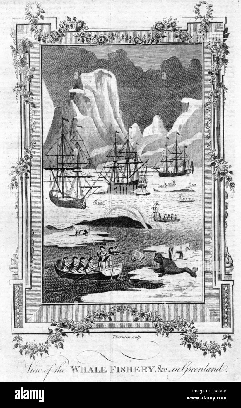 Thomas Thornton Vista del Whale pesca, &c. in Greeland (1781) Foto Stock