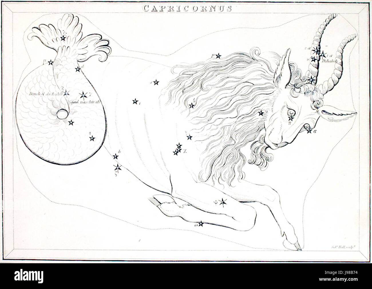 ZodiacalConstellationCapricornus Foto Stock