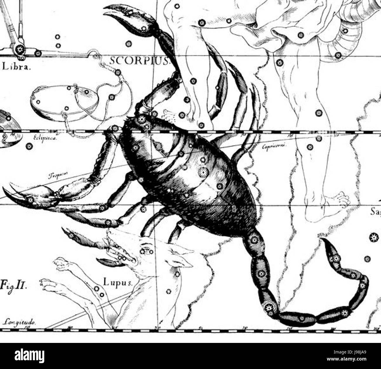 Scorpione Hevelius Foto Stock
