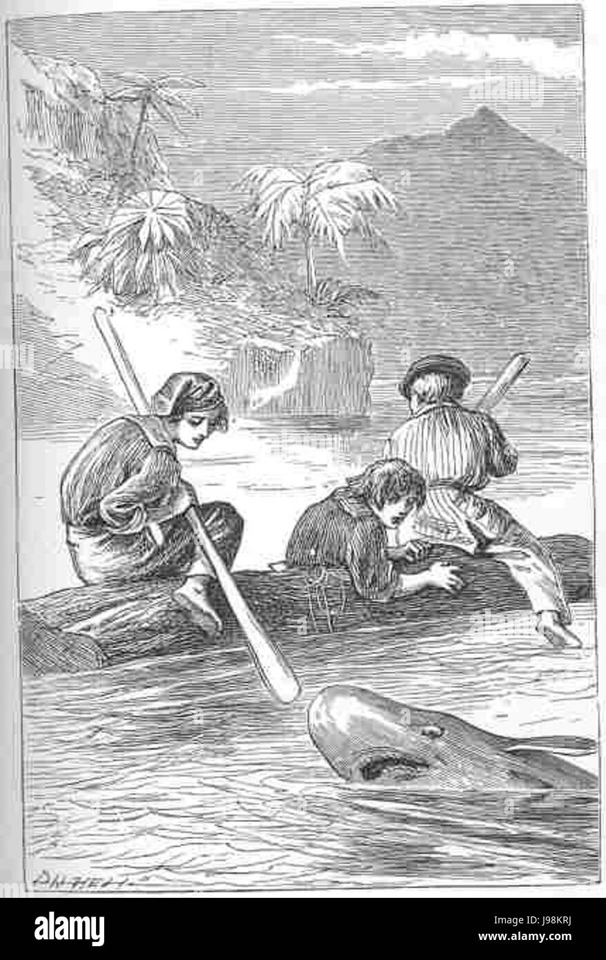 L'Isola di Corallo squalo attacca Foto Stock