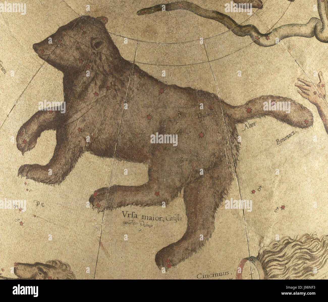 Orsa Maggiore Mercator Foto Stock