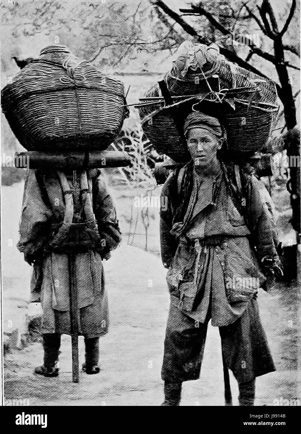 La modalità di trasporto di olio e vino Foto Stock