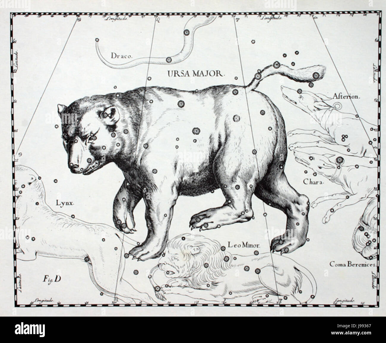 L'Ursa maggiore è una costellazione ben nota, e questo riferimento si riferisce al lavoro dell'astronomo Johannes Hevelius, che ha dato un contributo significativo alla mappatura di questo modello celeste nel XVII secolo. Foto Stock