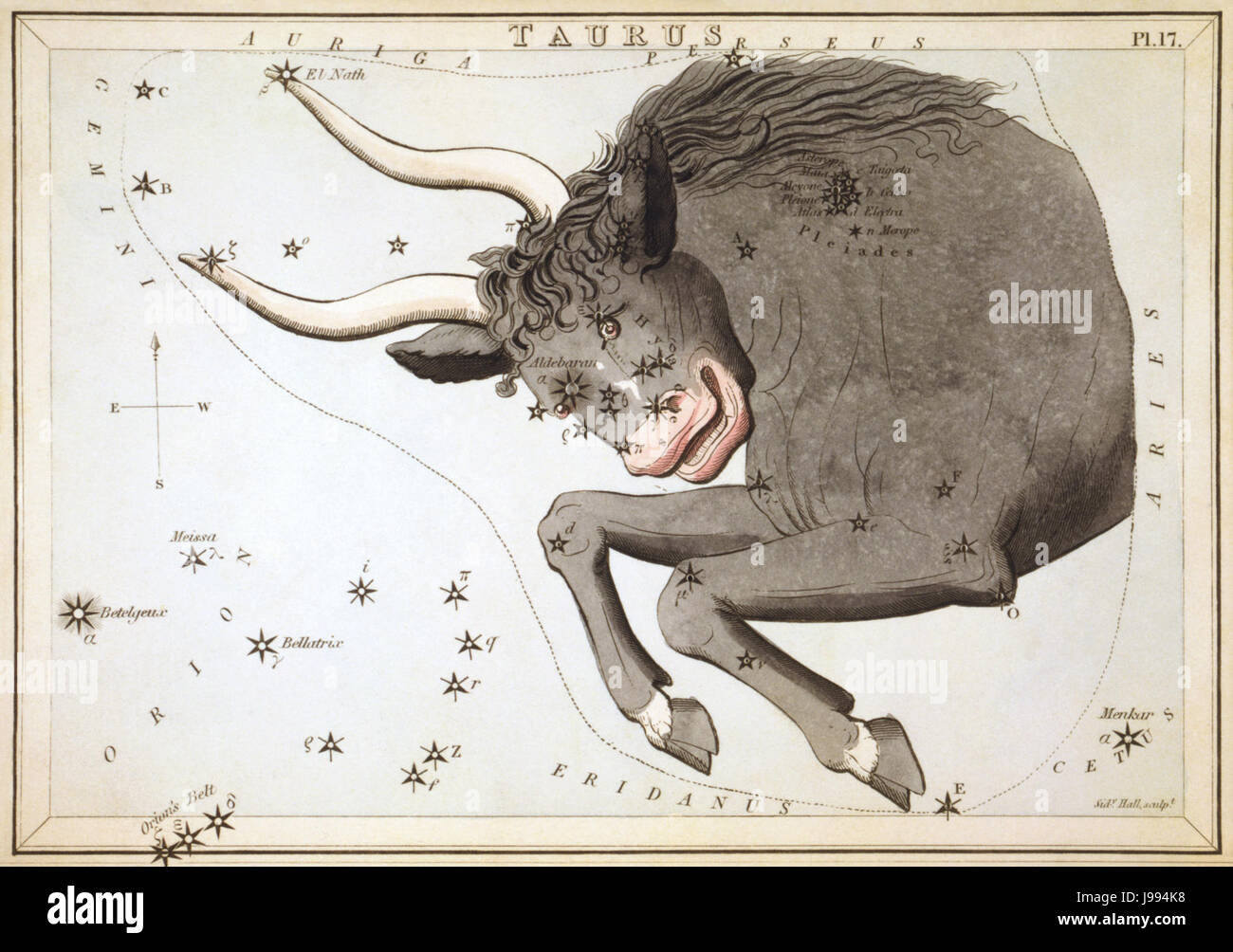 Sidney Hall specchio di Urania Taurus Foto Stock