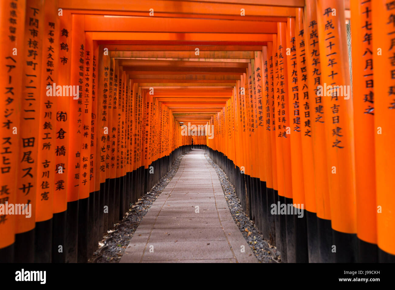Red Gate dei tori a Fushimi Inari Santuario a Kyoto, Giappone Foto Stock