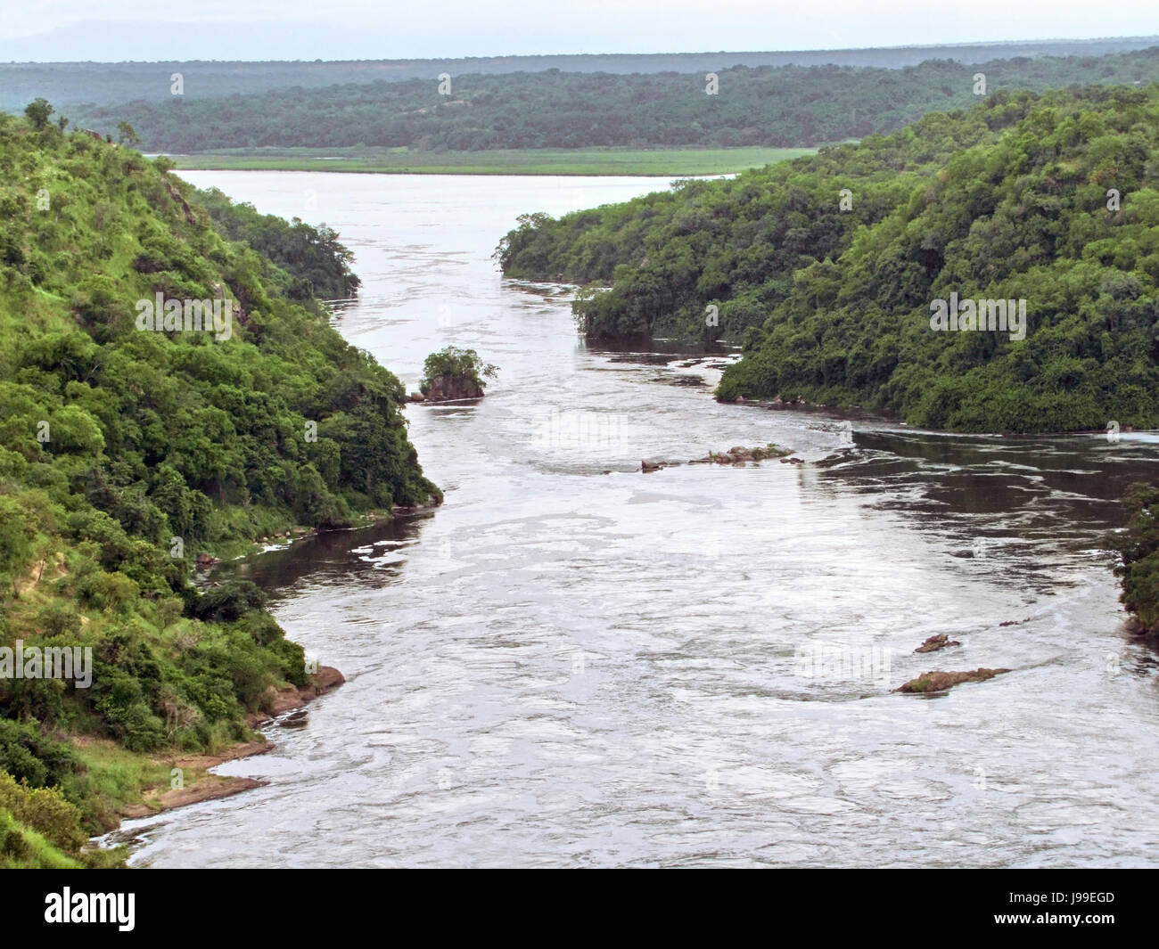 Africa, scivolo, Uganda, albero, hill, africa, natura-santuario, corso d'acqua, Foto Stock