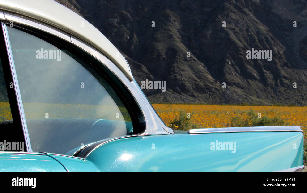 Turchese/Bianco 1957 Chevy Bel Air 2 porte Hardtop auto classica in piedi in un mare di fiori selvatici - Superbloom Anza-Borrego Desert State Park Foto Stock