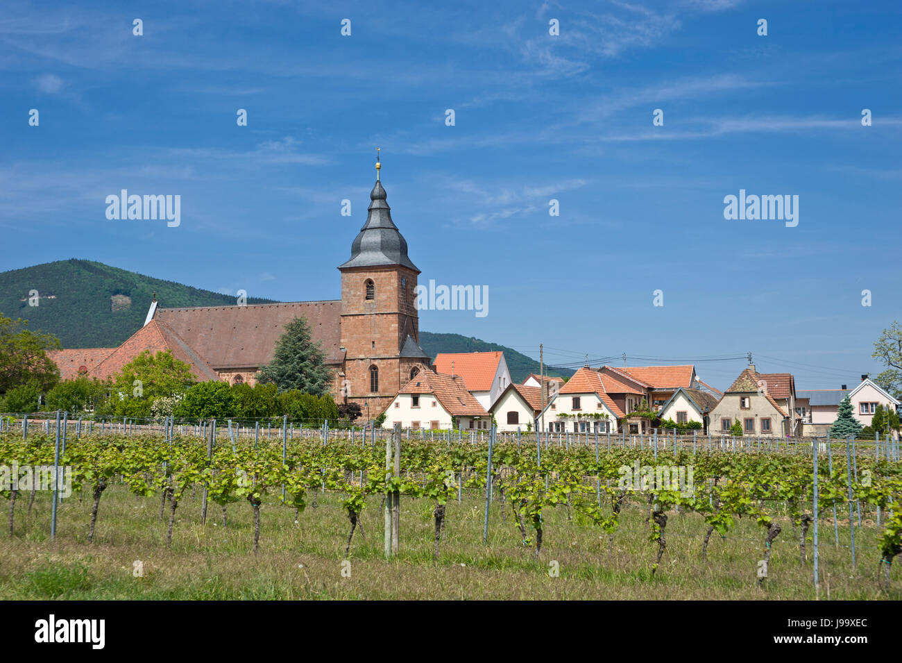 La chiesa, in Europa la coltivazione di vino, germania, Repubblica federale di Germania, Foto Stock