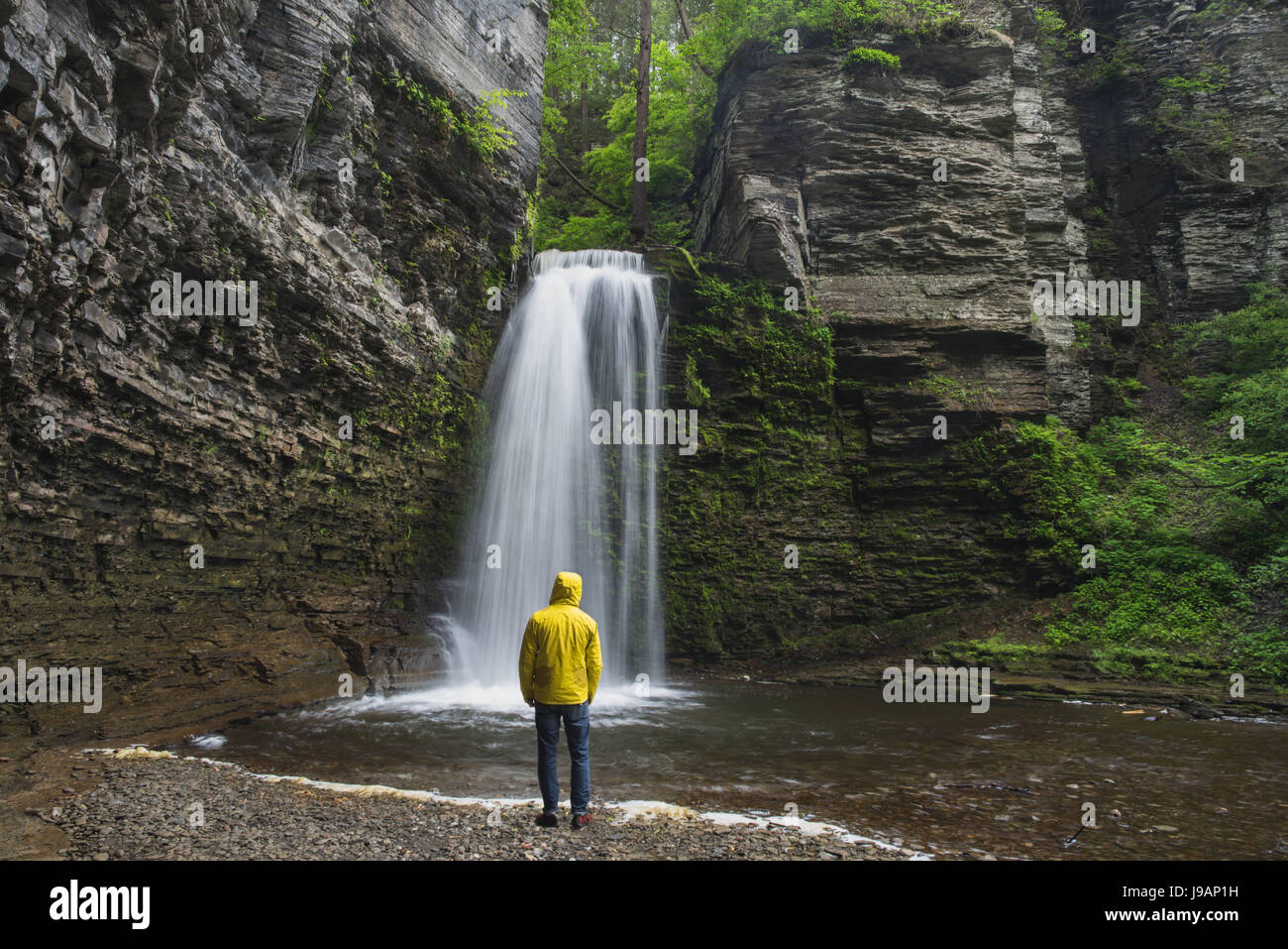 Scogliera Eagle Falls - Havana Glen, Montour Falls, NY Foto Stock