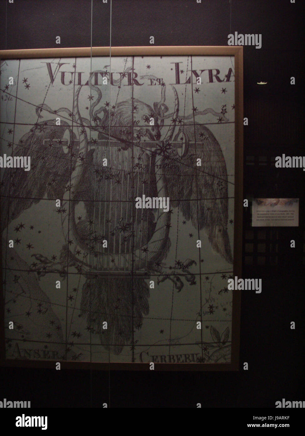 Vulter et Lyra Constellation Foto Stock