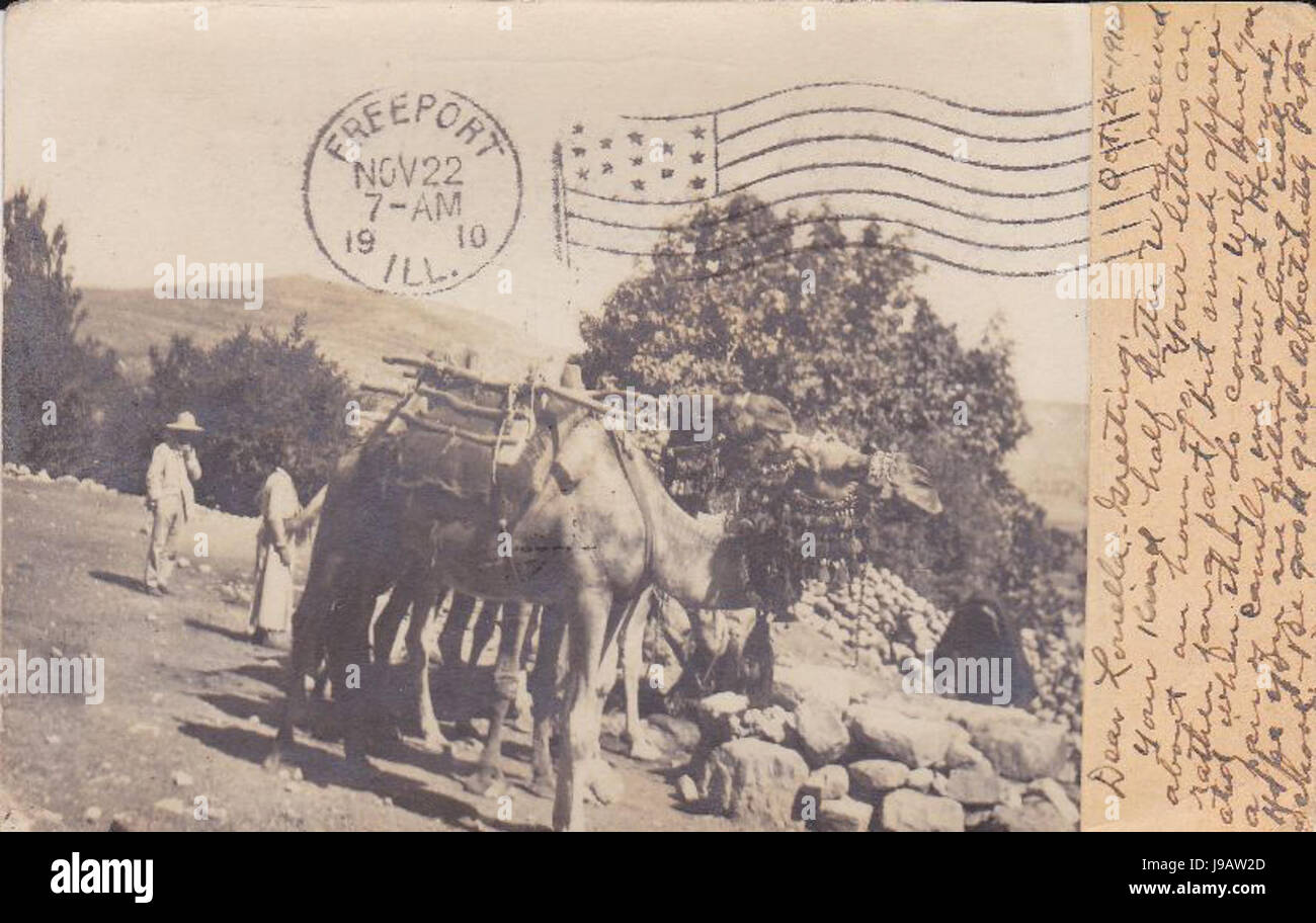 Real photo Cartolina di un cammello indiano nel 1910 Foto Stock