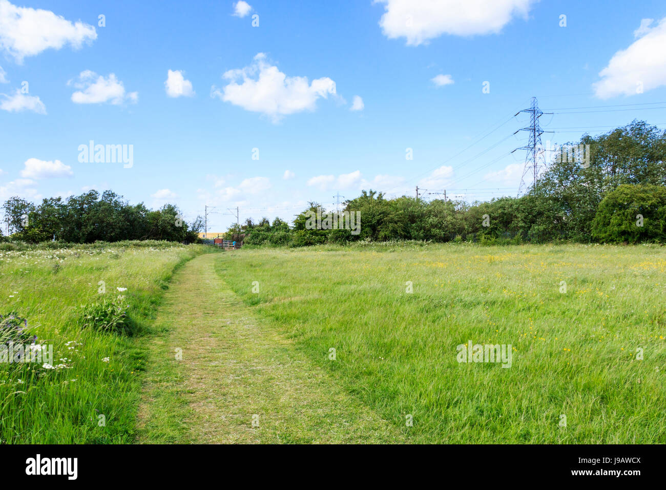 Un percorso falciata attraversare un prato erboso su Walthamstow paludi, Londra, Regno Unito, un pilone di elettricità e linee di alimentazione in background Foto Stock