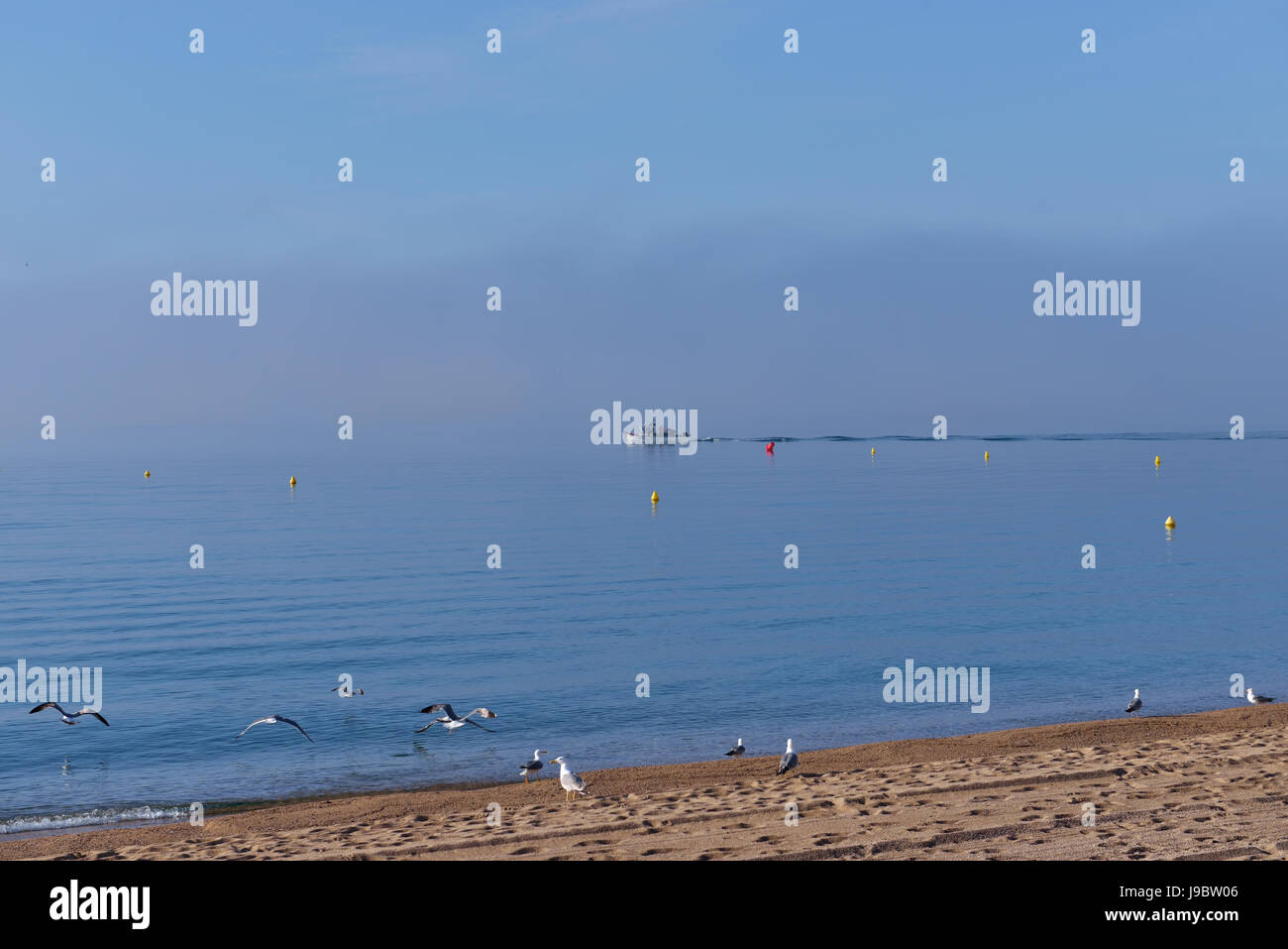 Barche di pescatori sulla costa catalana in molto calmo mattino Maggio 17, 2017 in Catalogna,Spagna Foto Stock